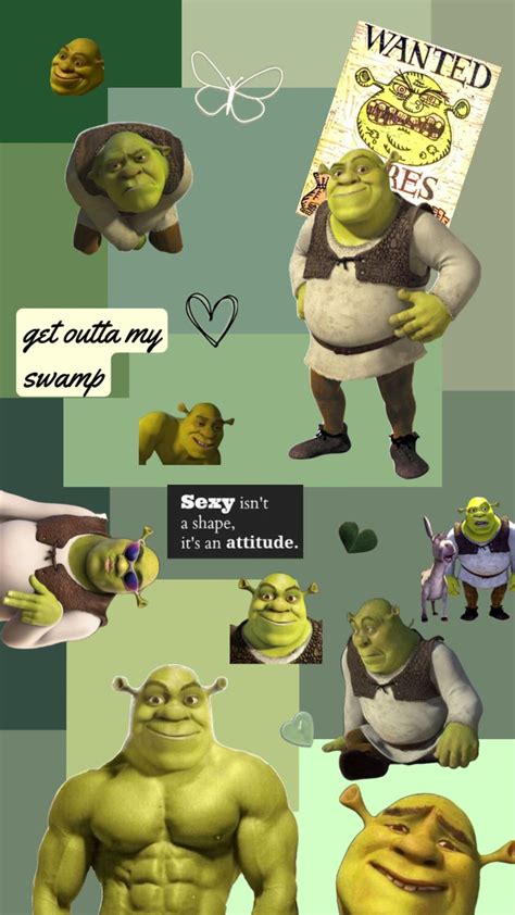 Shrekisbae Hot Shrek Myfirstshuffle Shrek Crazy Funny Pictures