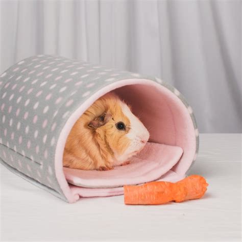 Guinea Pig Tunnels Etsy