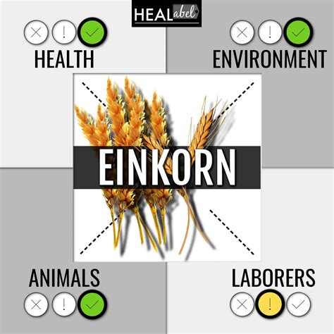 Einkorn Benefits Side Effects Is It Gluten Free Vegan Acidic