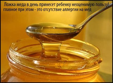 Польза меда | Чем полезен мед для человека?