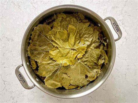 dawali palestinian stuffed grape leaves recipe