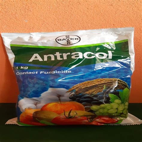 Bayer Antracol Contact Fungicide Propineb 70 Wp 1 Kg At Rs 650 Kg In