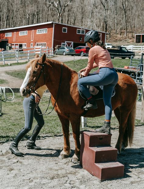 Maximising your horse's health: the importance of using a mounting