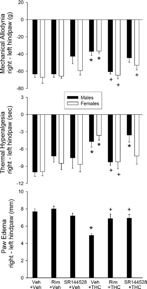 Figure 1 From Sex Differences In Anti Allodynic Anti Hyperalgesic And Anti Edema Effects Of Δ9