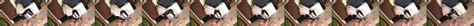Heel Insertion Free Xxx HD Porn Video Eb XHamster XHamster