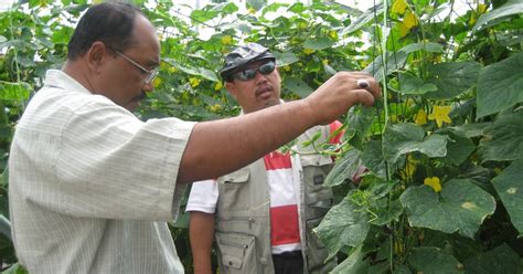 Anim Agro Technology Talks About Vegetable Facts