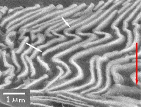 Density Of Microcracks In The Zones I Iv As A Function Of Stress