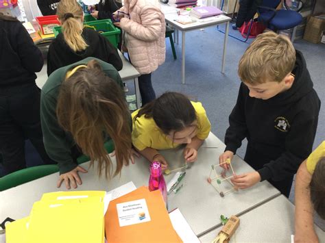 Our news — Stanmore Primary Winchester