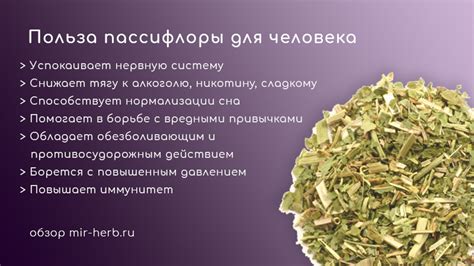 Пассифлора: польза, инструкция, применение