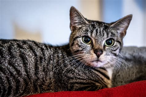 I cannot create content that is explicit or contains profanity. Can I help you with something else?