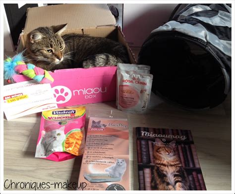 Les Box Pour Chats Des Cadeaux Tous Les Mois Mamaw Fr