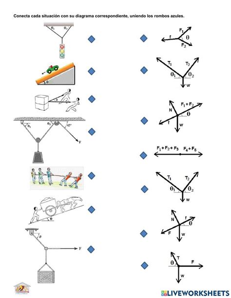 Diagrama De Cuerpo Libre Interactive Worksheet Educacion Matematicas