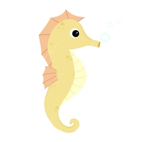 Yellow Seahorse Seahorse Seahorses Marine Life Png Transparent