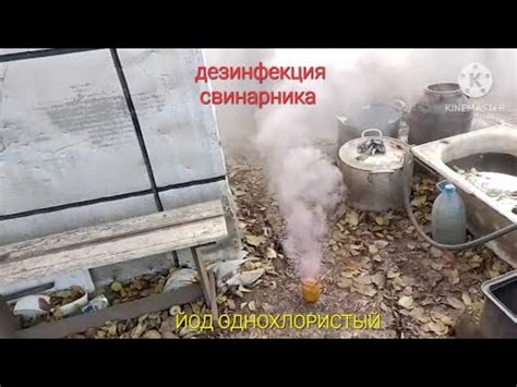 ЙОД ОДНОХЛОРИСТЫЙ. Дезинфекция свинарника при помощи задымления ...