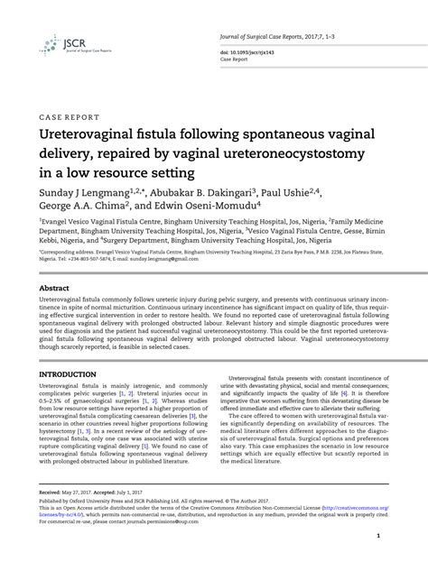 PDF Ureterovaginal Fistula Following Spontaneous Vaginal Delivery