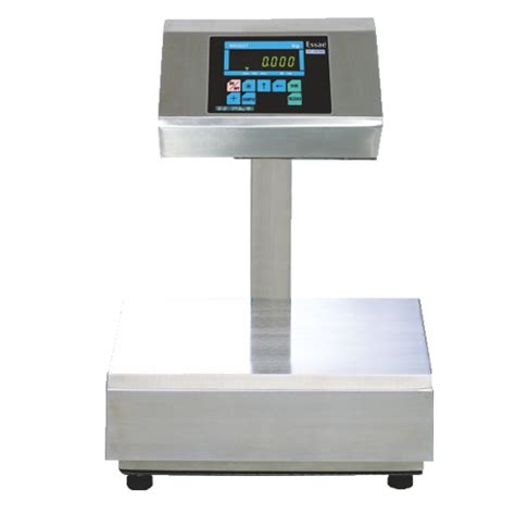 Essae Stainless Steel BENCH TYPE SCALE DS 450SS Model Name Number Ds