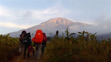 13 Pendaki Tersesat Di Gunung Pangrango Ditemukan