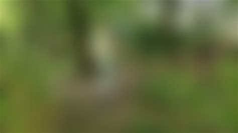 One Shoe Porn Tube Video Clips Clips4sale