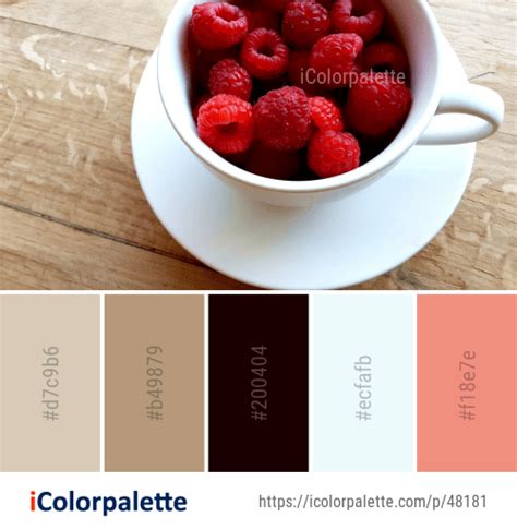 51 Raspberry Color Palette Ideas In 2024 Icolorpalette