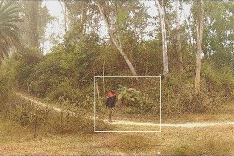 Jhargram Forest A Person Was Detained From Jhargram For Stealing A