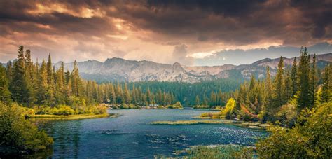 Fotos gratis paisaje árbol agua naturaleza bosque césped