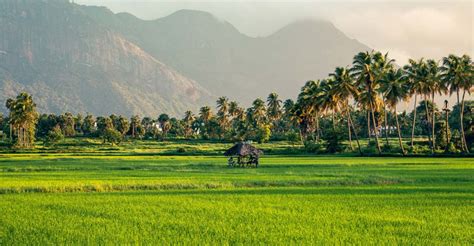 Palakkad's Kollengode: What to see in the Kerala village that impressed ...