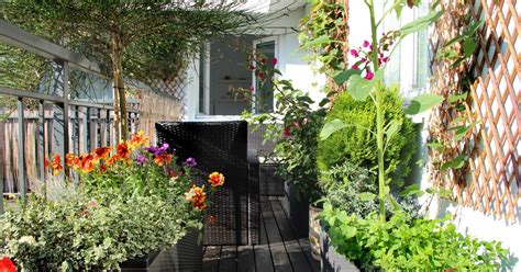 Make Your Small Backyard Look Bigger With These Simple Ideas