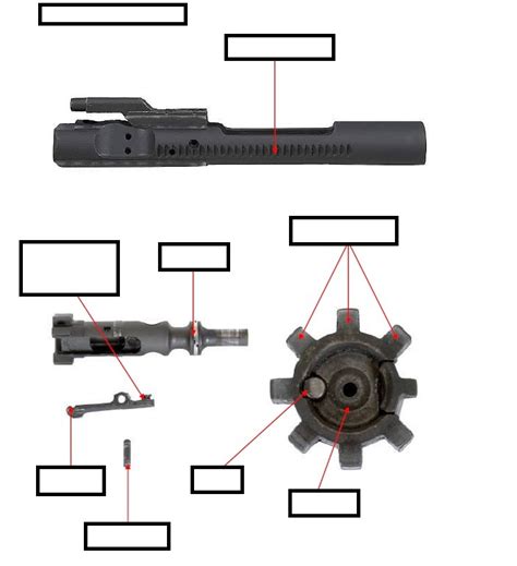 Bolt Carrier Group Cont Diagram Quizlet