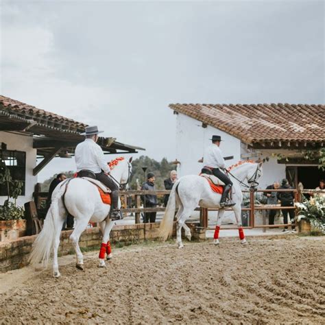 Equus Clube Do Cavalo - Equus Club de Equitación - Club de Equitación Equus