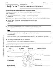 Study Guide Circulatory Respiratory And Excretory Systems English Doc