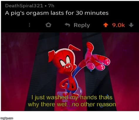 What The Fuck Did You Just Bring Upon This Cursed Land R Meme