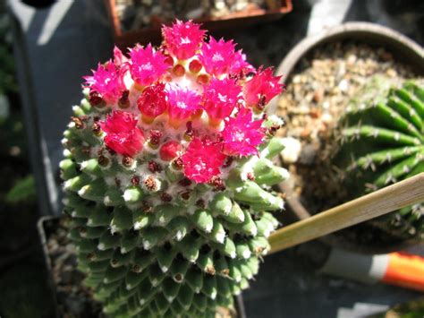 k1024282.jpg | Servimg.com - Free image hosting service