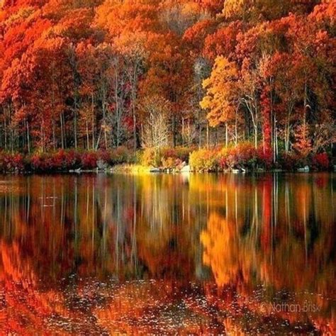 Осень разливает грусть (Мария Веселовская-Томаш 3) / Стихи.ру