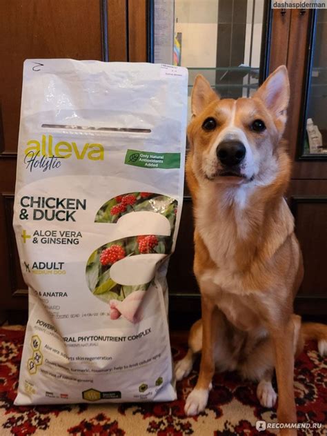 Корм для собак Diusa Pet Alleva Holistic Chicken & Duck + Aloe vera ...