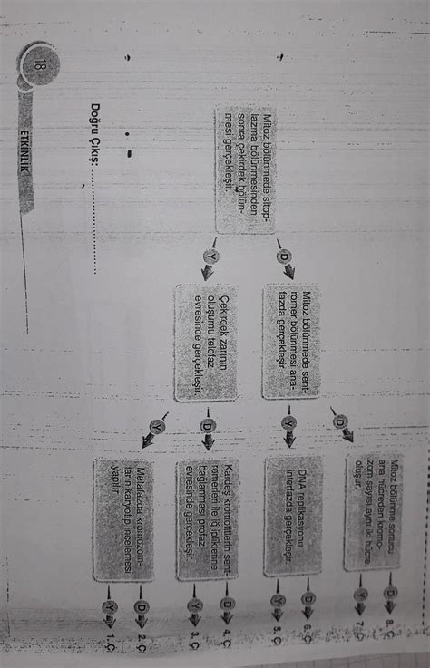 Sinif Biyoloji Yardim Eder Misiniz Eodev