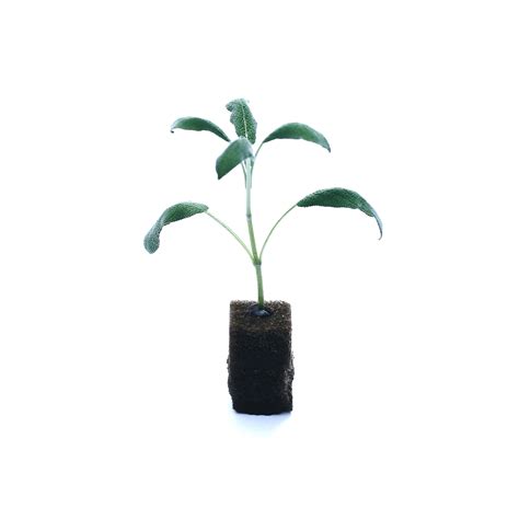 space farms zoo new jersey