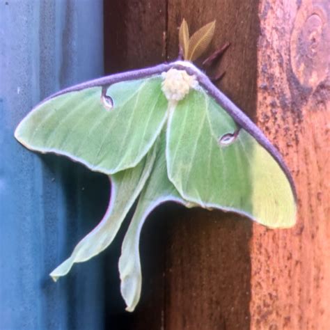 Brainerd Cabin Rentals - Brainerd MN VRBO Cabin - Crosslake Cabin for Rent