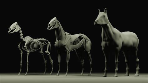 ArtStation - Beginner Horse Anatomy Model Kit | Resources