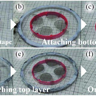 preparation   adhesive frame  bottom layer   frame