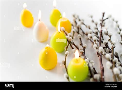 Pussy Willow Branches And Easter Egg Candles Stock Photo Alamy