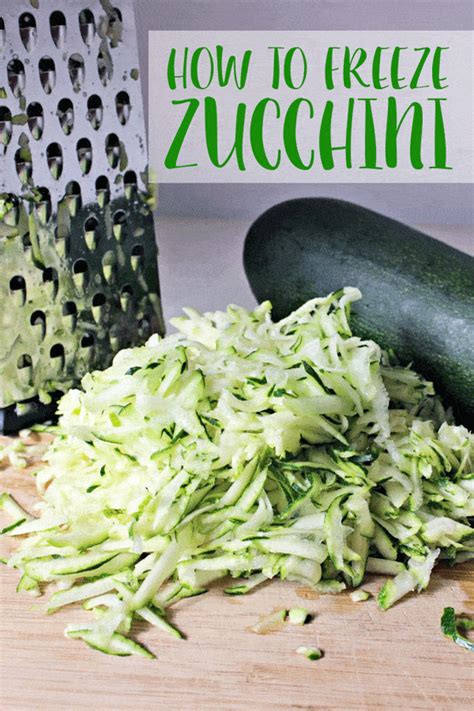 How To Freeze Zucchini From Garden Fasci Garden