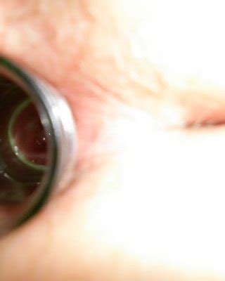 Kinky Chubby Milf Porn Pictures XXX Photos Sex Images 3979815 PICTOA