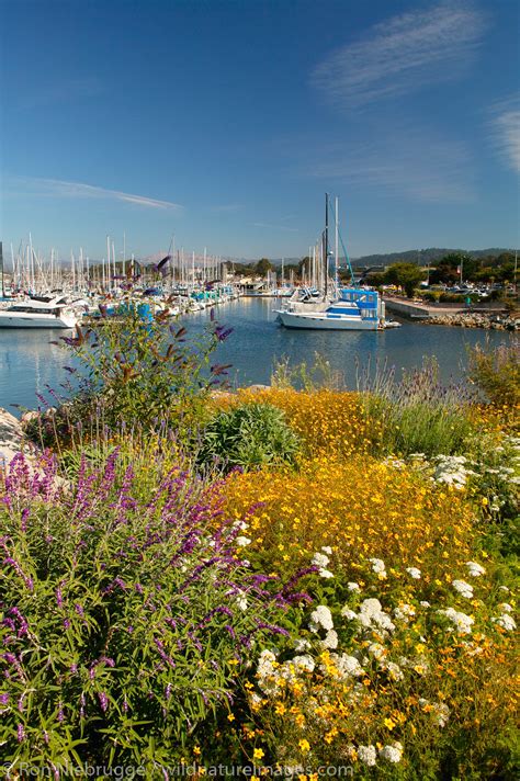 Recent Obituaries and Life Tributes in Monterey, California