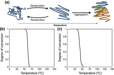 A Schematic Diagram Of Heat Denaturation On A Protein And Thermal