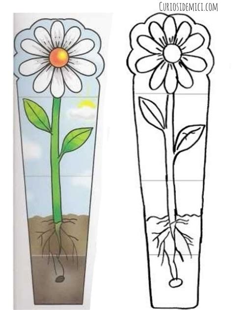 Two Flower Vases With Plants In Them And The Bottom One Is Cut Out To