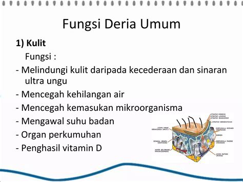 Power Point Anatomi And Fisiologi Sistem Saraf Ppt