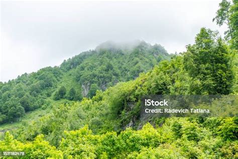 pemandangan gunung  vegetasi hijau bebatuan puncak bukit
