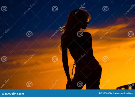 A Silhouette of a Woman Standing on the Beach at Sunset Stock Illustration - Illustration of ...