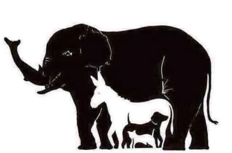 I Thought This Was A Naked Curly Haired Woman Living Her Best Life Dorset Eye