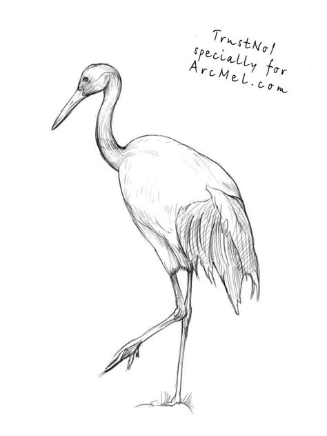 Drawing Of A Crane